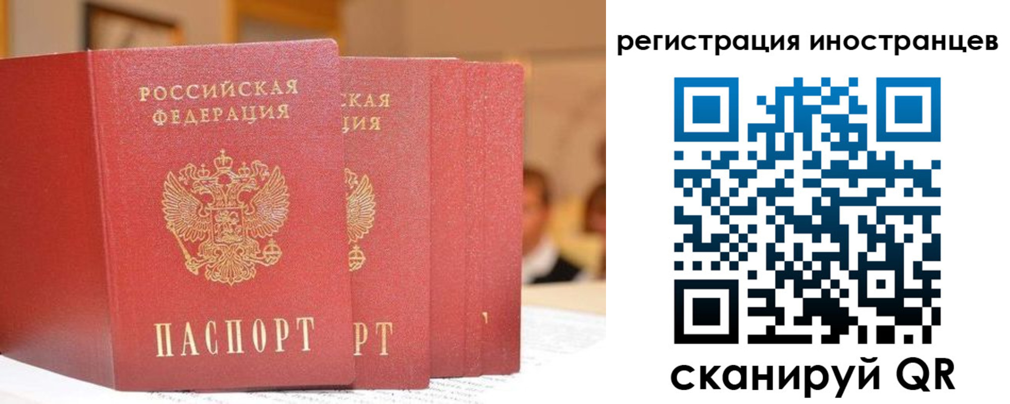где прописаться в Ртищево